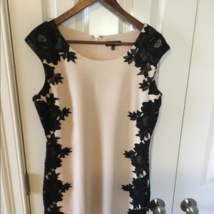 Jax lace trim dress size 14